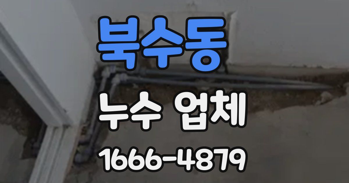 북수동 누수 업체