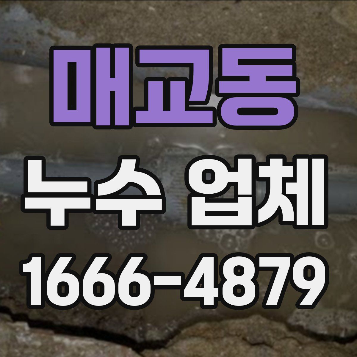 매교동 누수 업체