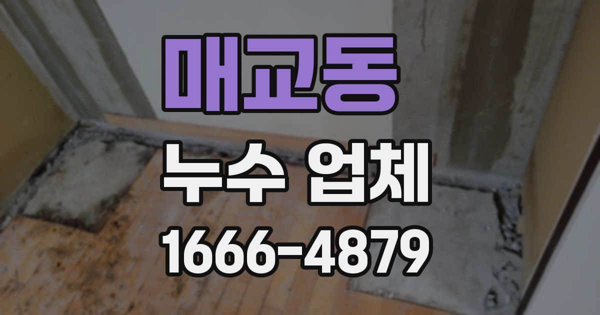 매교동 누수 업체