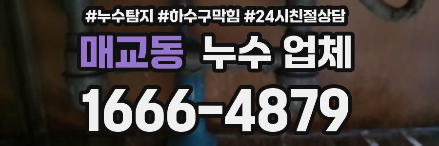 매교동 누수 업체