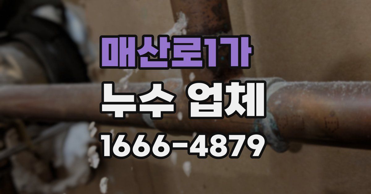 매산로1가 누수 업체
