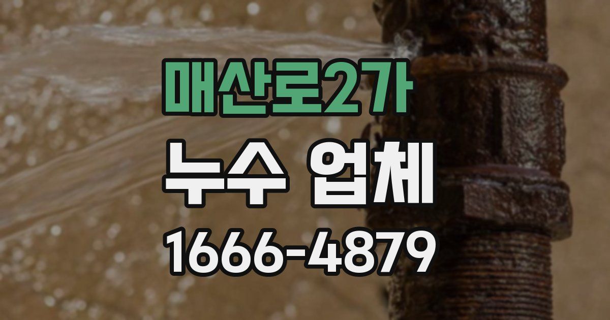 매산로2가 누수 업체