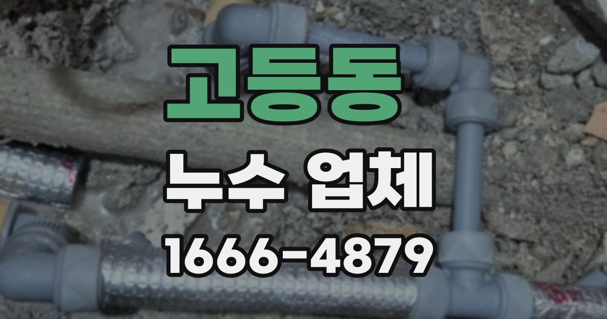 고등동 누수 업체
