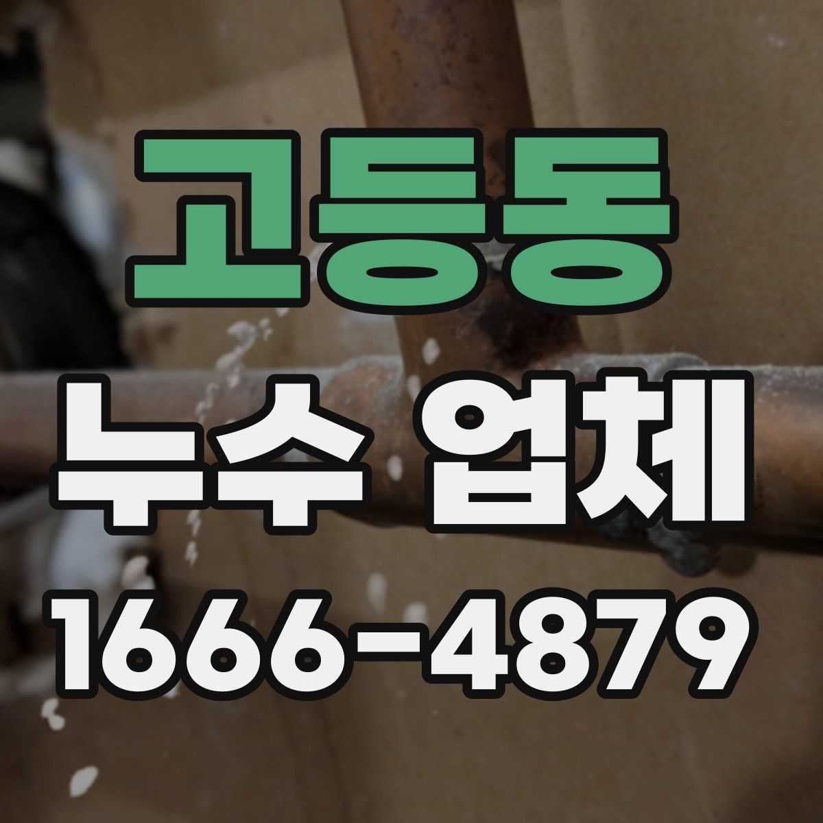 고등동 누수 업체