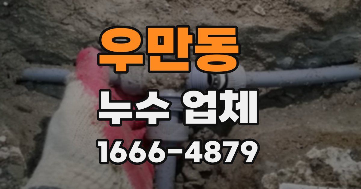 우만동 누수 업체