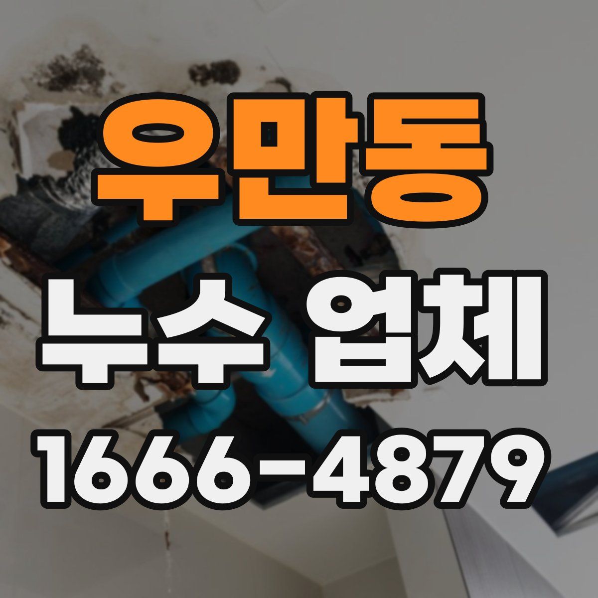 우만동 누수 업체
