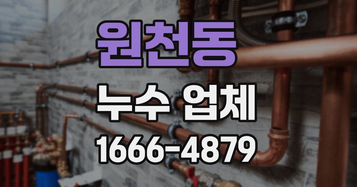 원천동 누수 업체