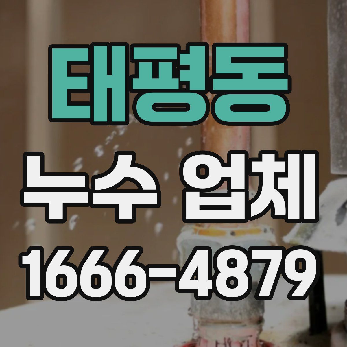 태평동 누수 업체