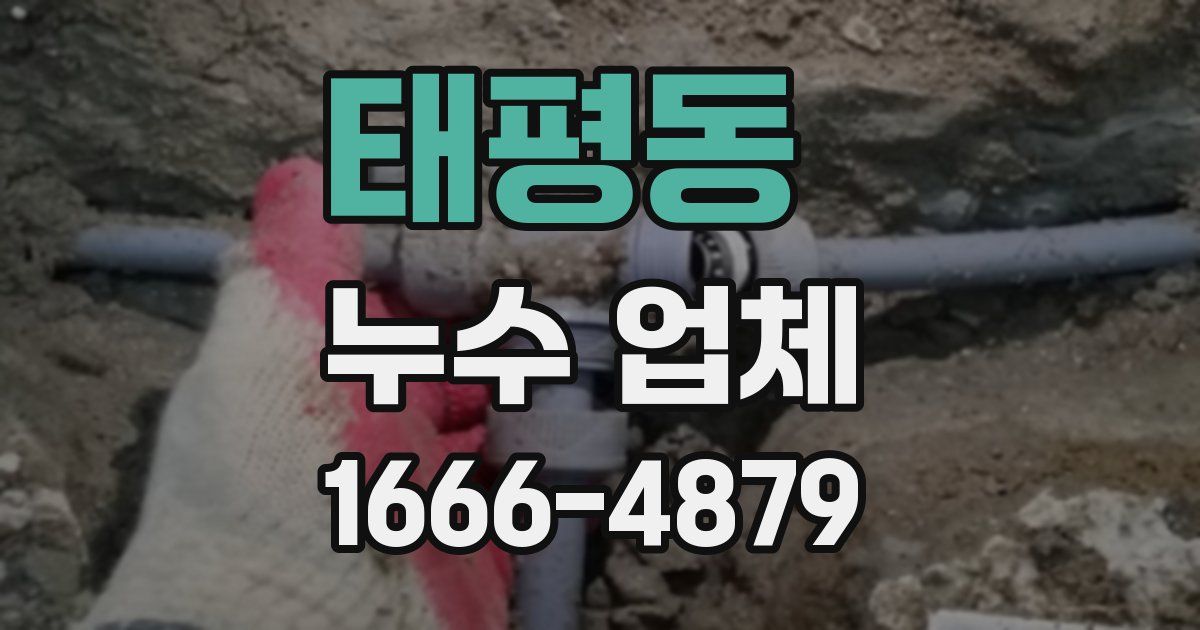 태평동 누수 업체