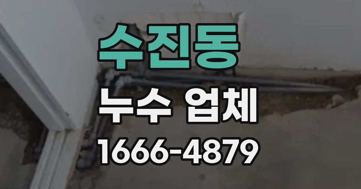 수진동 누수 업체