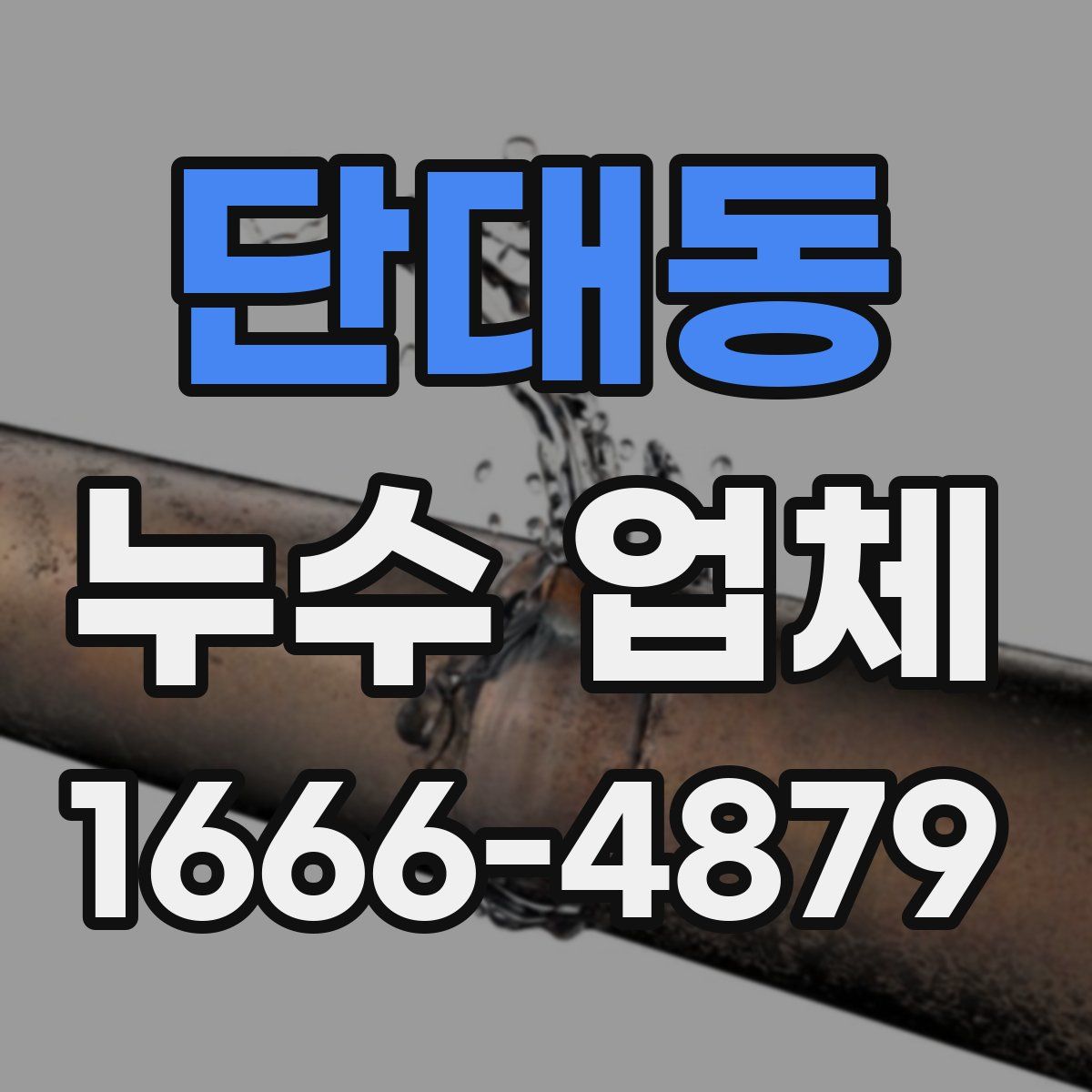 단대동 누수 업체