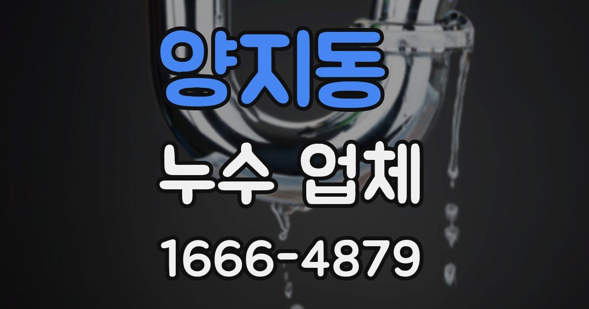 양지동 누수 업체