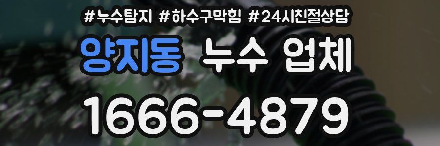 양지동 누수 업체