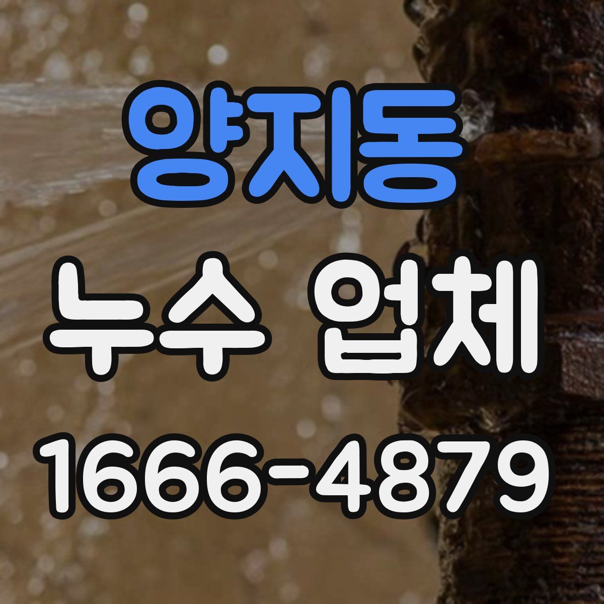 양지동 누수 업체