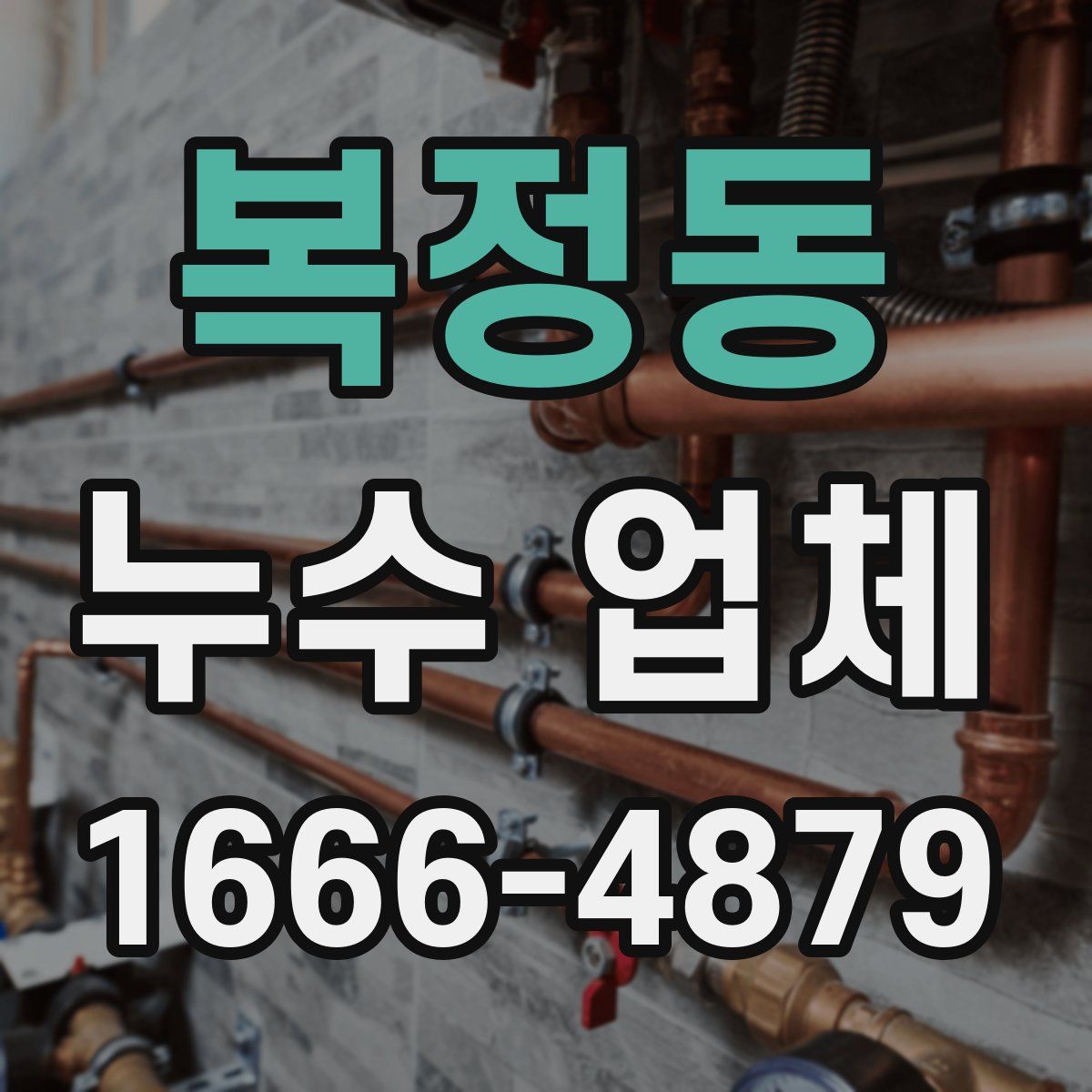 복정동 누수 업체