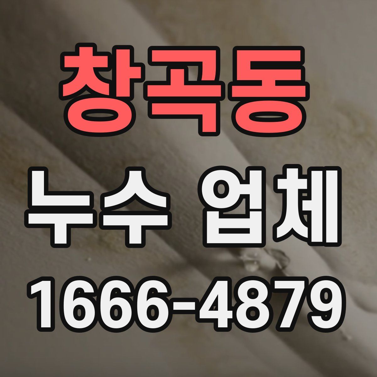 창곡동 누수 업체