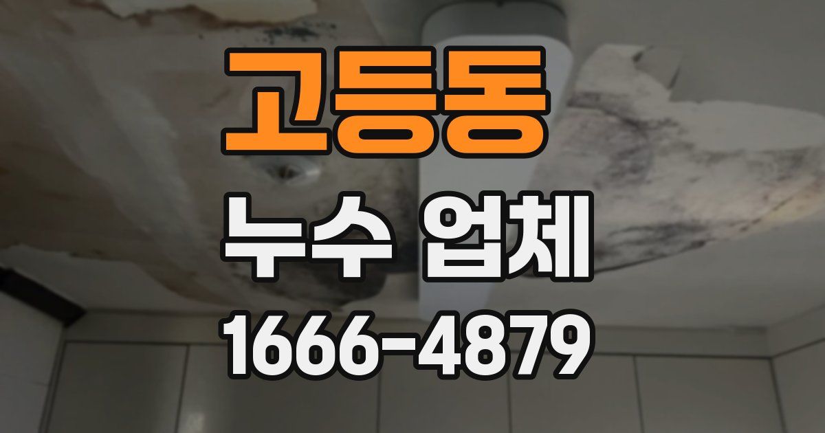 고등동 누수 업체