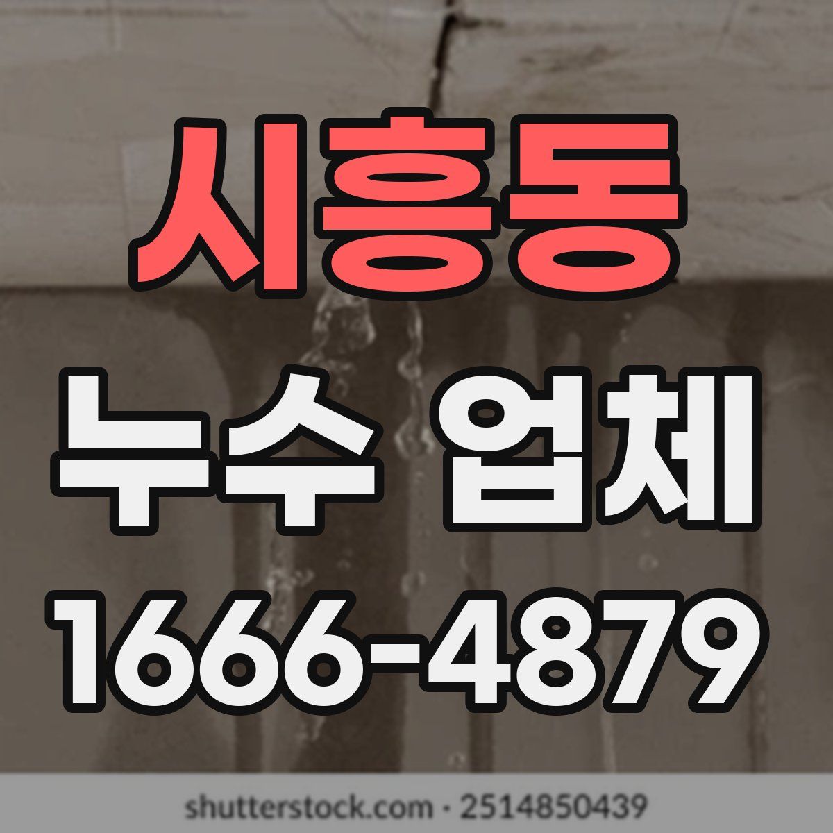 시흥동 누수 업체