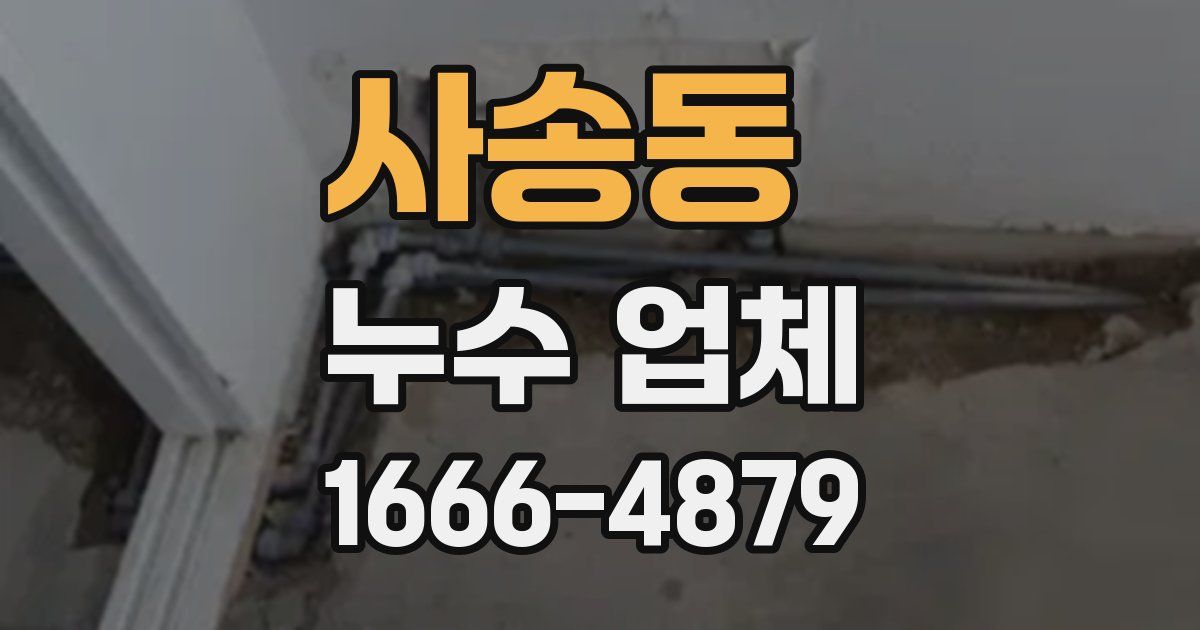 사송동 누수 업체