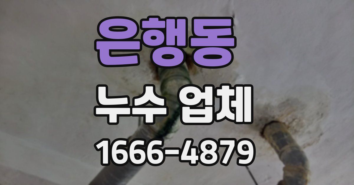 은행동 누수 업체