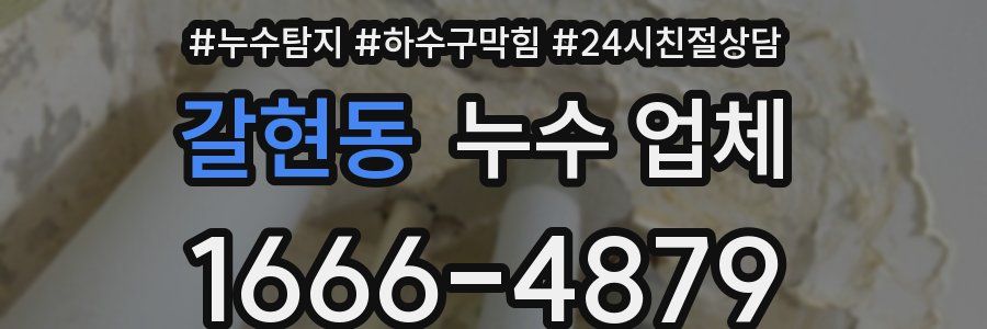 갈현동 누수 업체