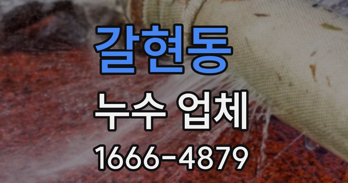 갈현동 누수 업체