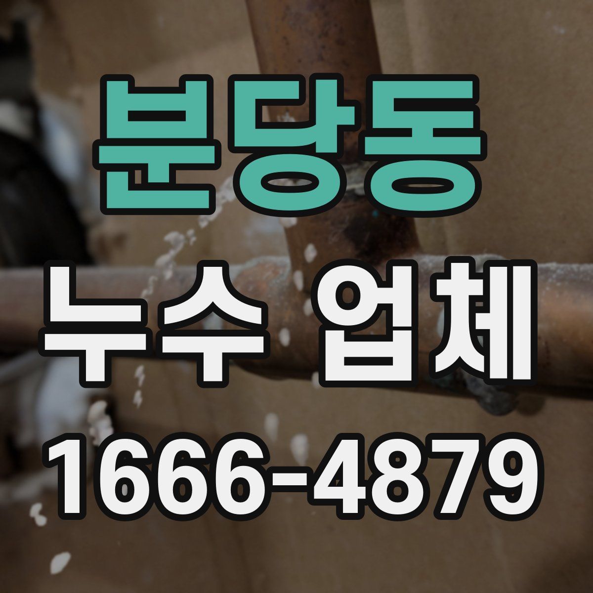 분당동 누수 업체
