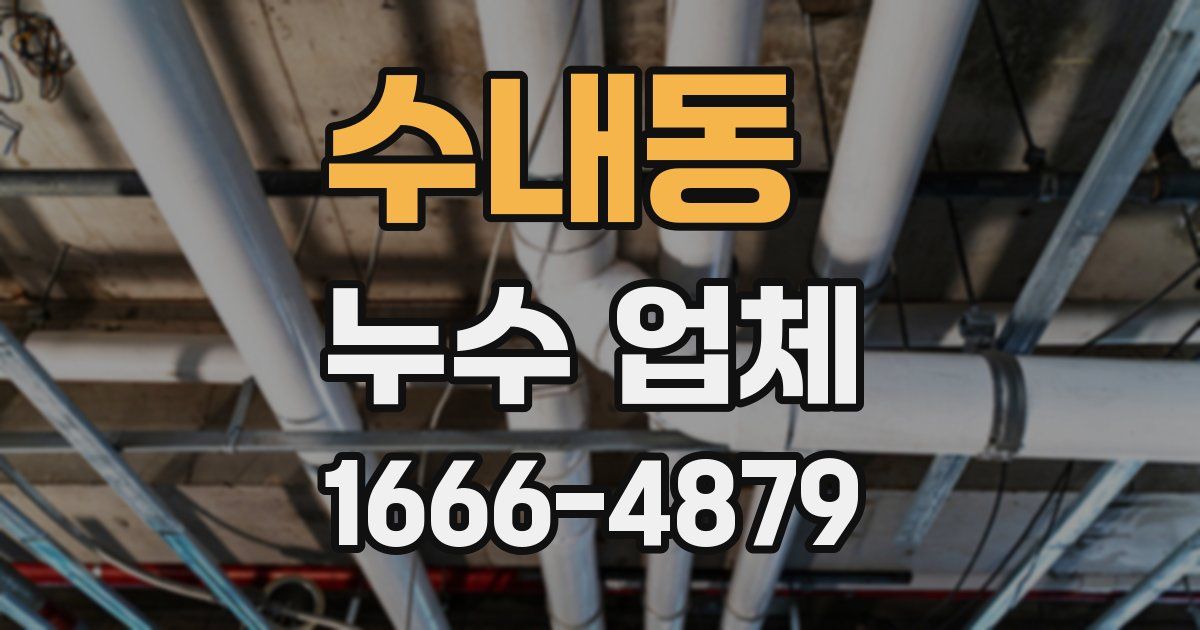 수내동 누수 업체