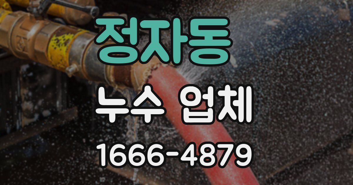 정자동 누수 업체