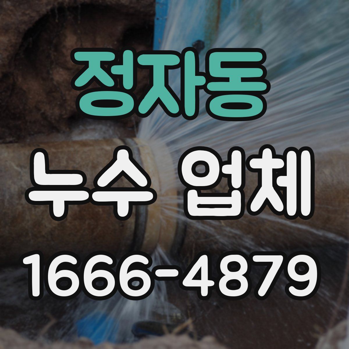 정자동 누수 업체