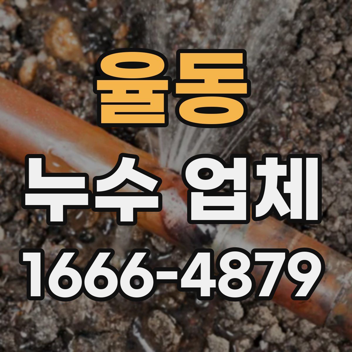 율동 누수 업체