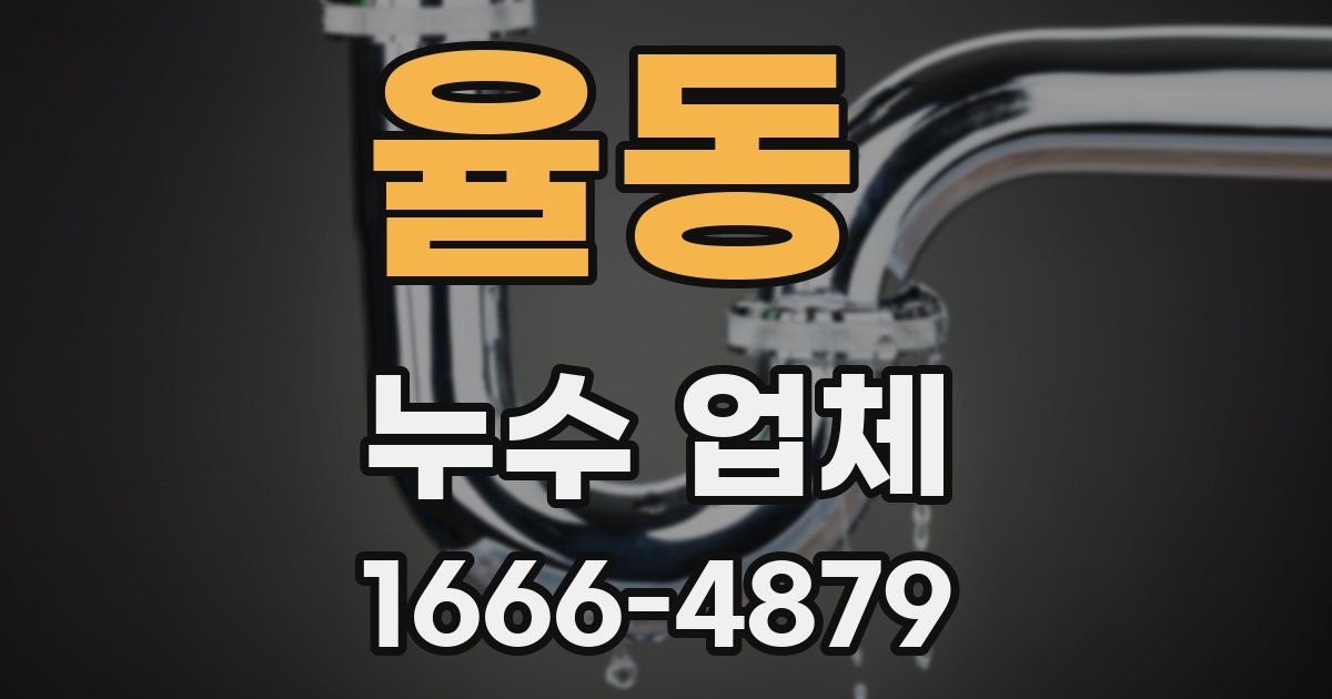 율동 누수 업체