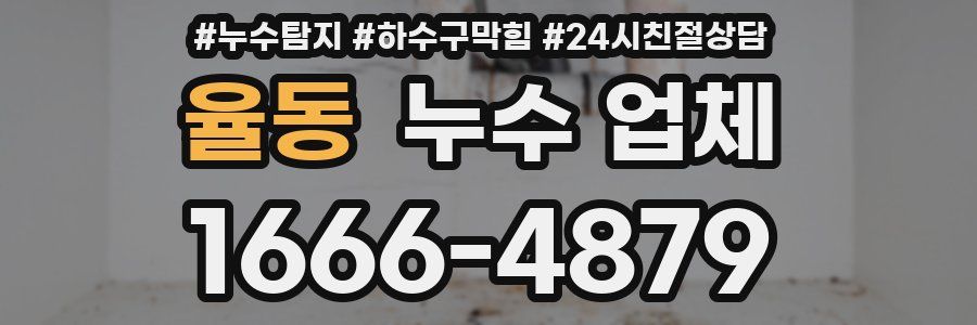 율동 누수 업체