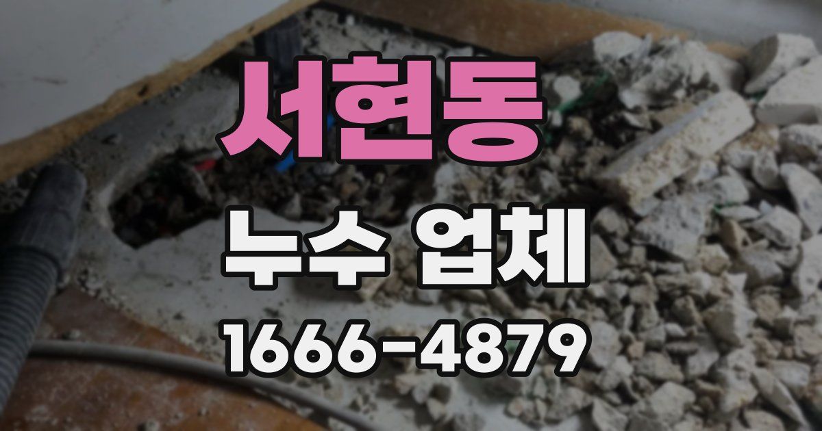 서현동 누수 업체