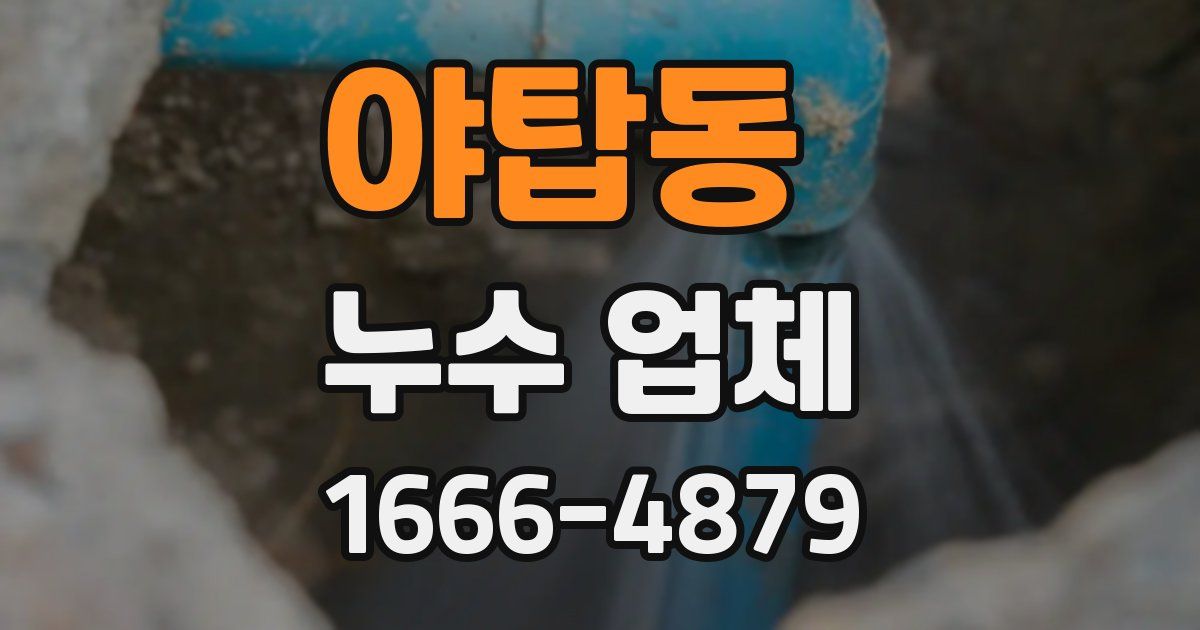야탑동 누수 업체