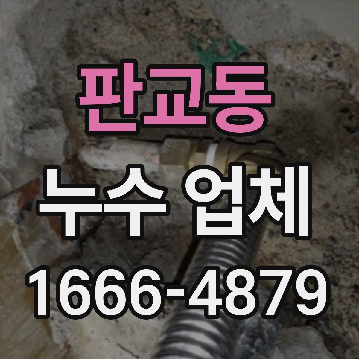 판교동 누수 업체