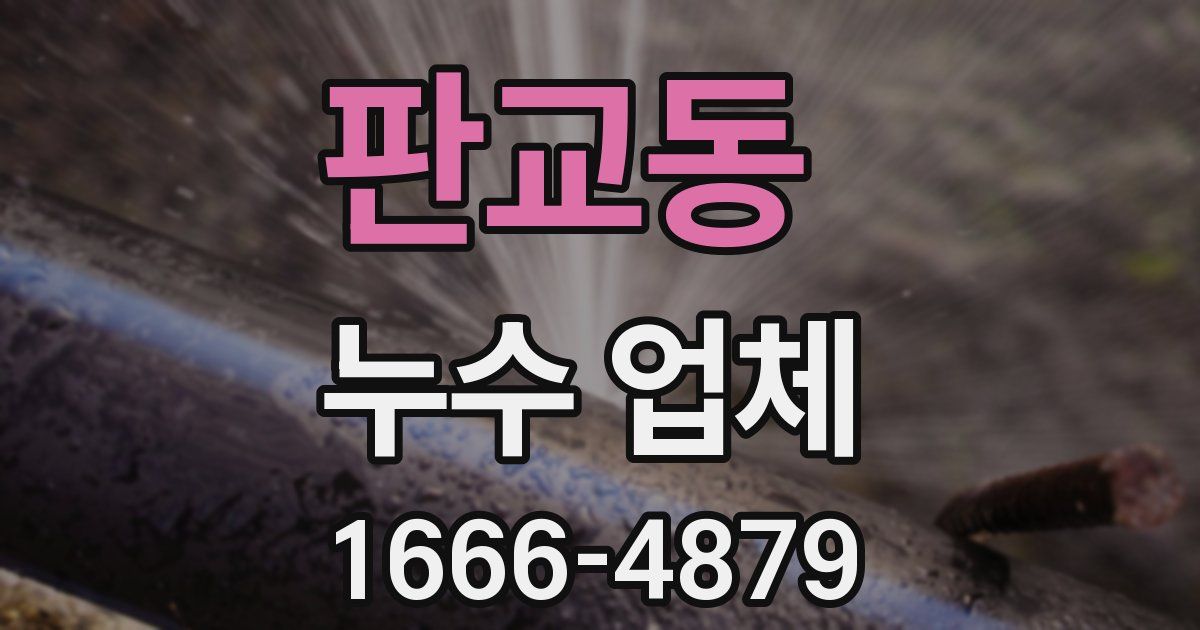 판교동 누수 업체