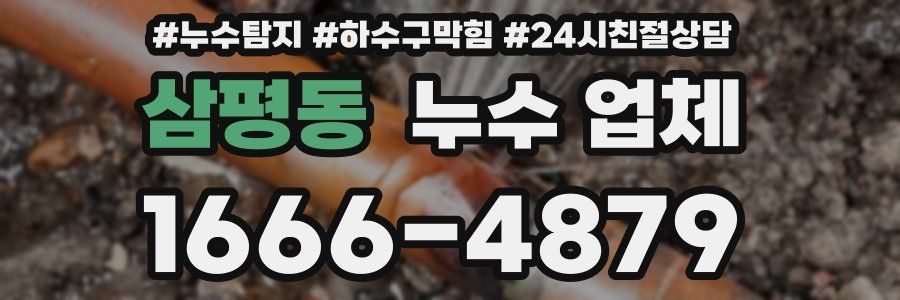 삼평동 누수 업체