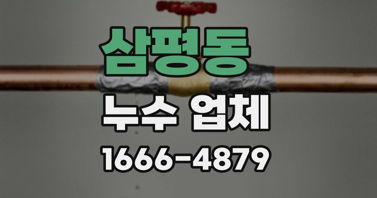 삼평동 누수 업체