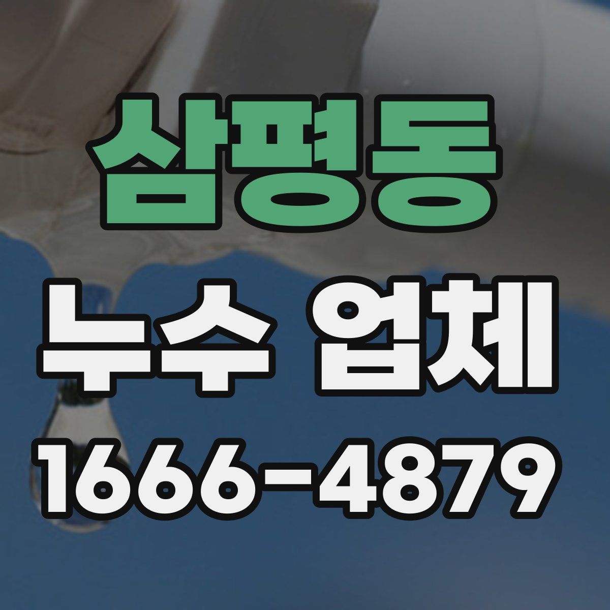 삼평동 누수 업체