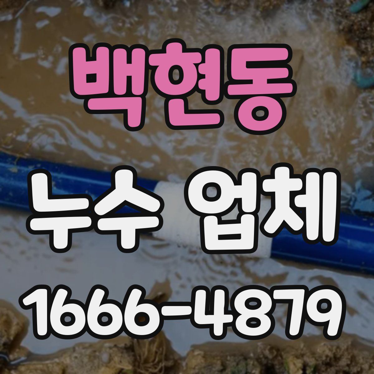 백현동 누수 업체