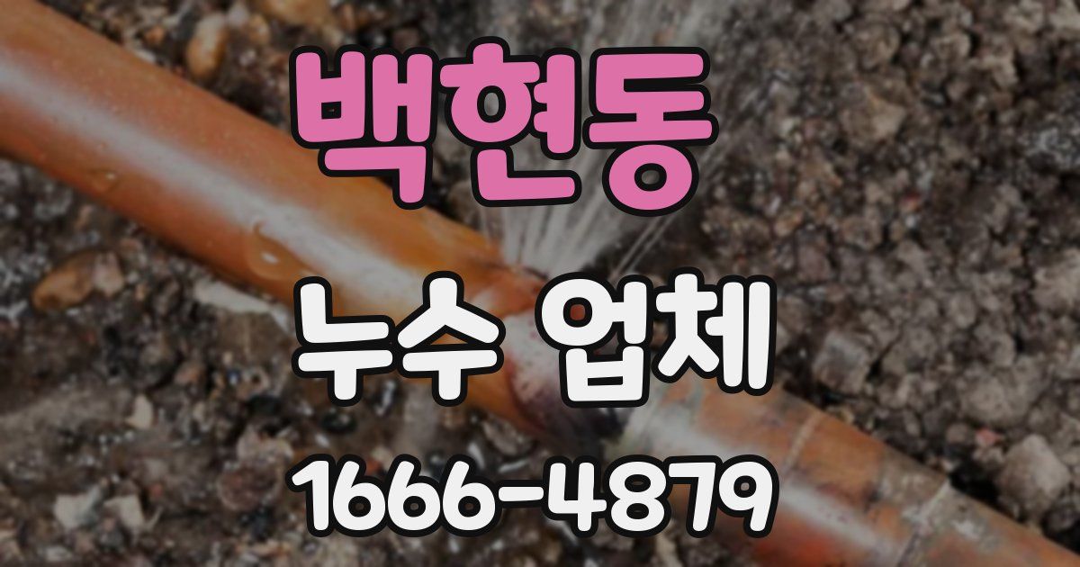 백현동 누수 업체