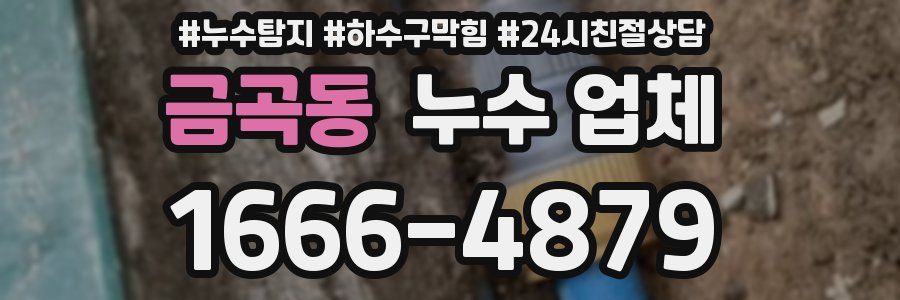 금곡동 누수 업체