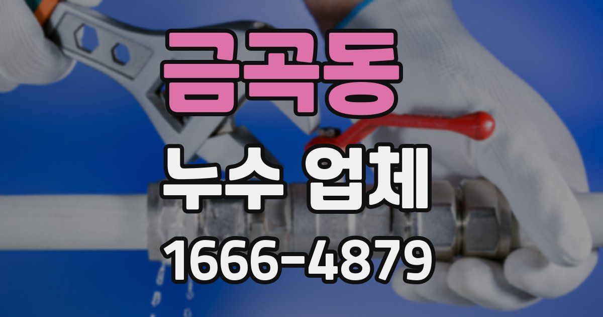 금곡동 누수 업체