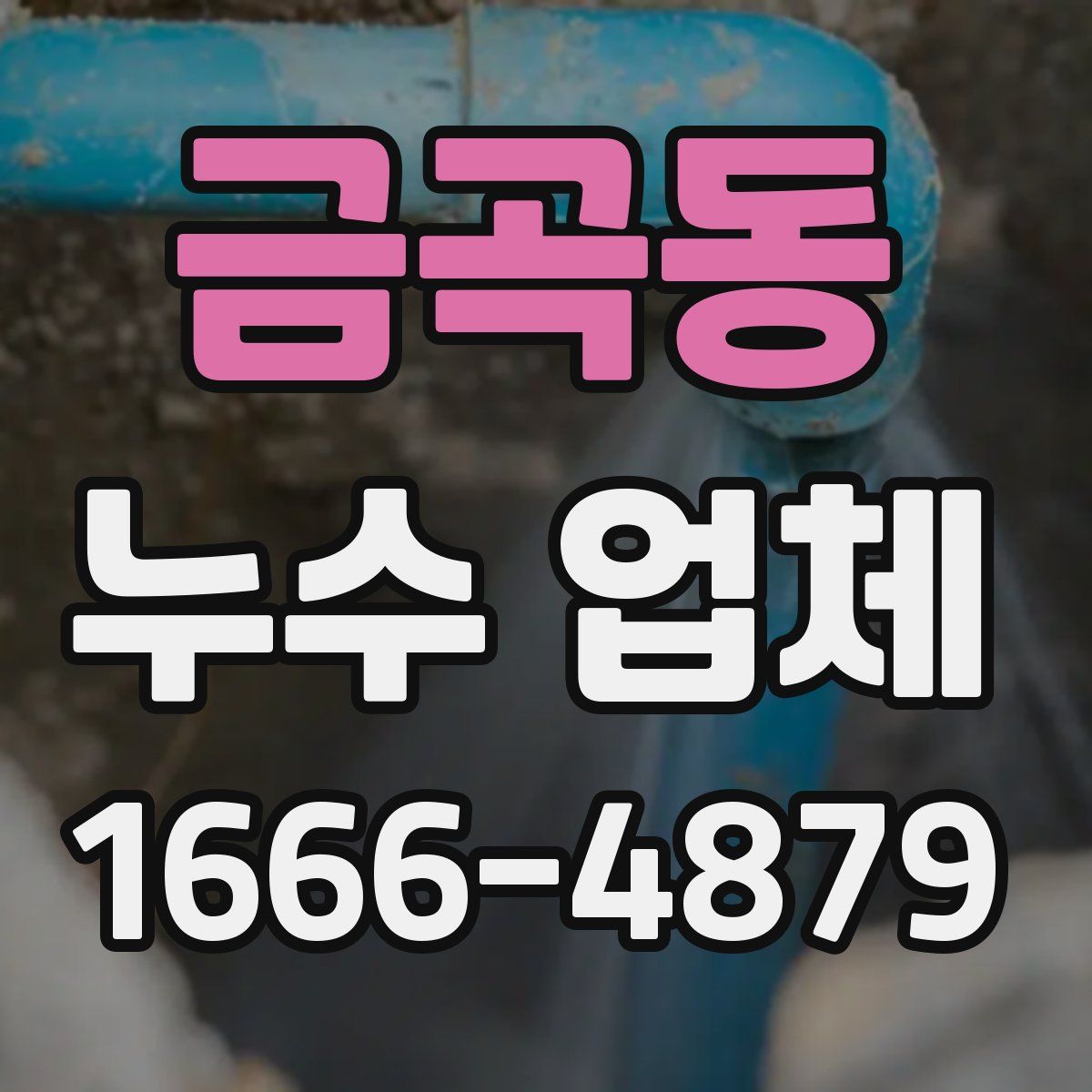 금곡동 누수 업체