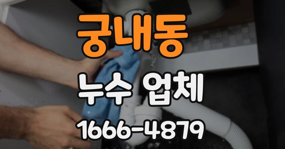 궁내동 누수 업체