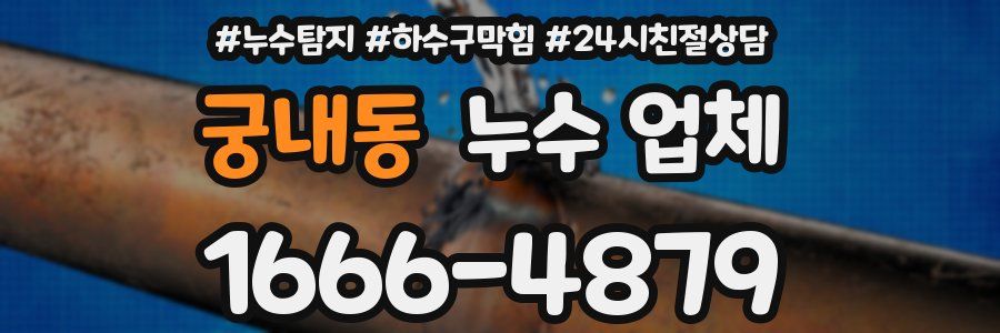 궁내동 누수 업체