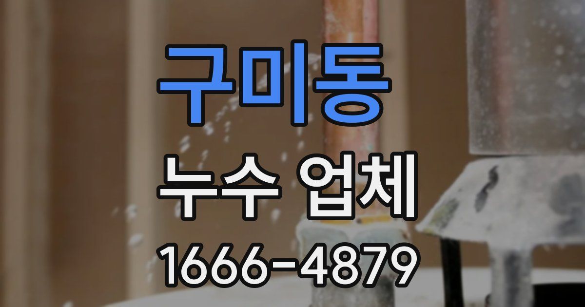 구미동 누수 업체