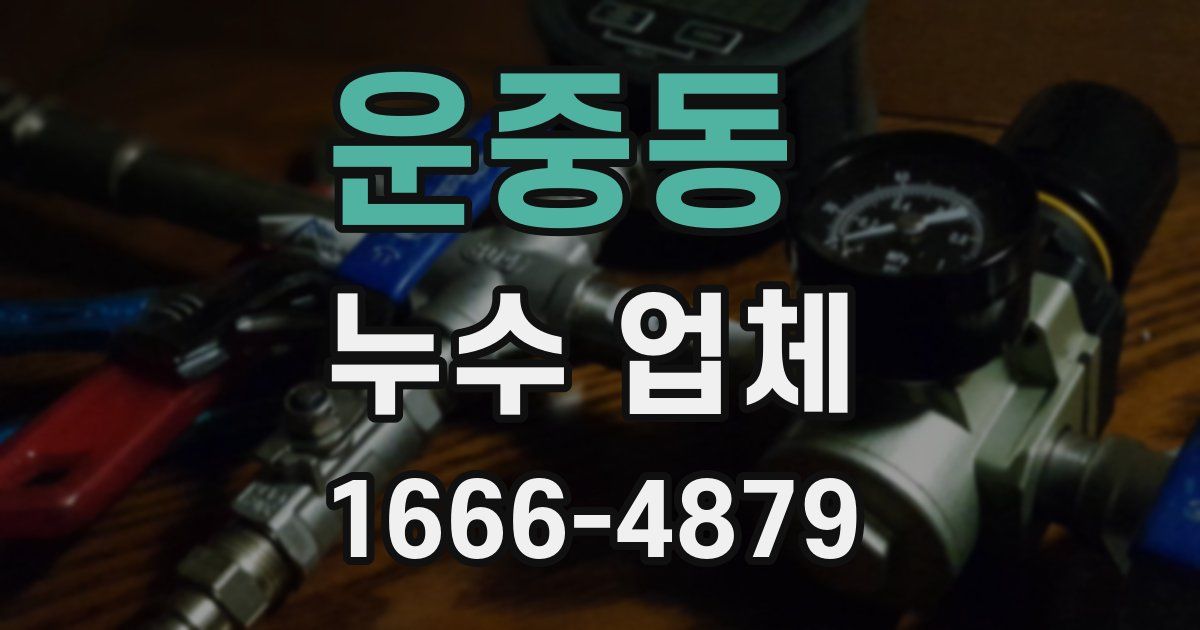 운중동 누수 업체