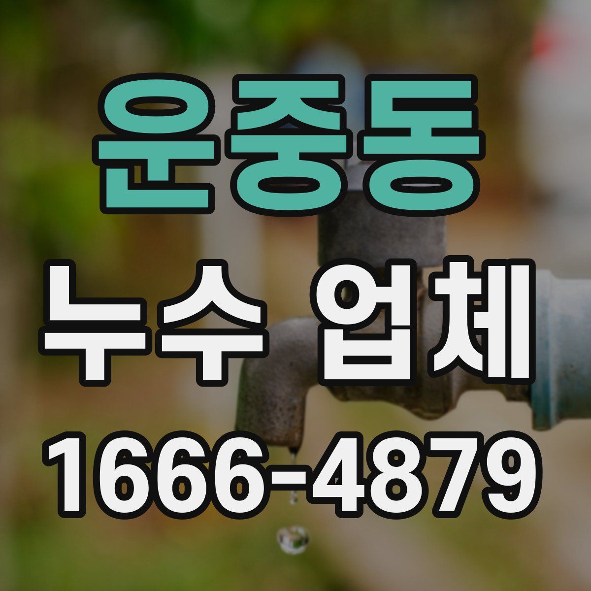운중동 누수 업체